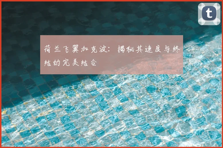 荷兰飞翼加克波：揭秘其速度与终结的完美结合